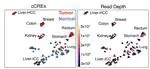 Epigenomic Profiling on FFPE Samples and Cancer Studies