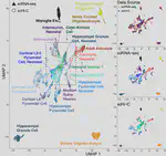 Multi-omics Integration for Single-cell Data Analysis