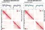 Statistical Methods Development for 3D Genomics Data Analysis