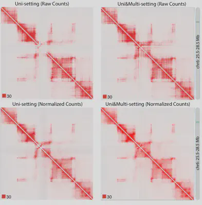 Multi-mapping reads in Hi-C data analysis