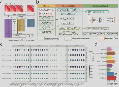 BandNorm analysis workflow